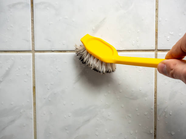 Best Mold Cleaning Services  in England, AR