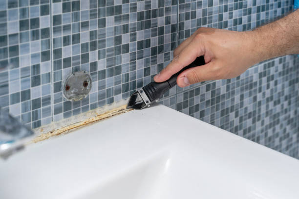 Mold Removal Process in England, AR