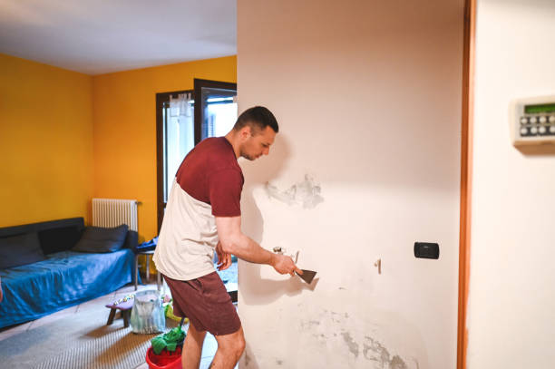 Best Crawl Space Mold Removal  in England, AR